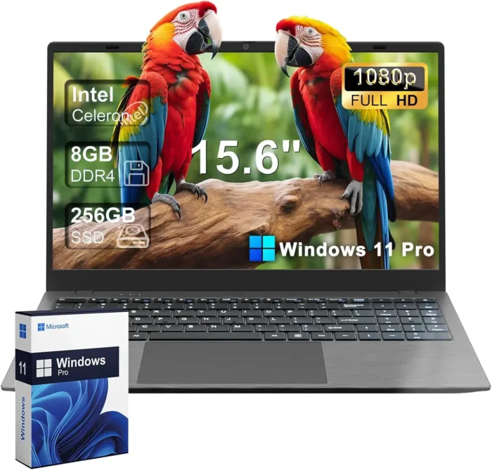 15 15.6" FHD 1920 X 1080 Display Laptop Computer for College Students Business, 8GB LPDDR4 RAM 256GB SSD, Dual-Core Intel Celeron, Numeric Keypad, Windows 11 Pro, Slim Portable, Gray - Image 2