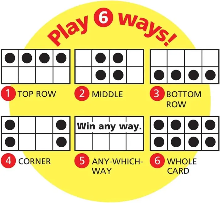 TREND ENTERPRISES: Sight Words Level 1 Bingo Game, Exciting Way for Everyone to Learn, Play 6 Different Ways, Great for Classrooms and at Home, 3 to 36 Players, for Ages 5 and Up - Image 4